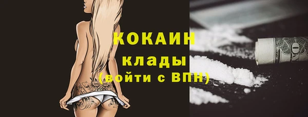 мдпв Новодвинск