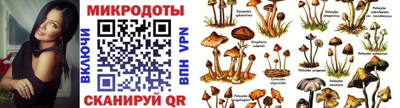 купить закладку  Нерчинск  Псилоцибиновые грибы Psilocybe 